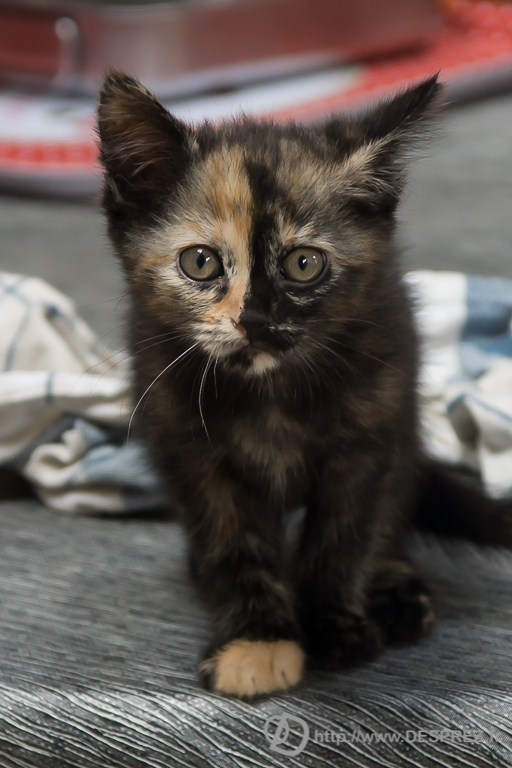 2014-02-24-DSC-05624