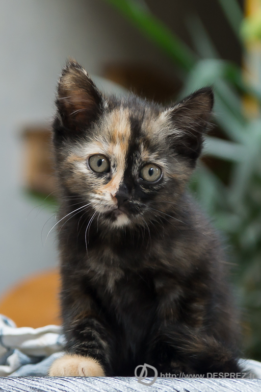 2014-02-24-DSC-05626