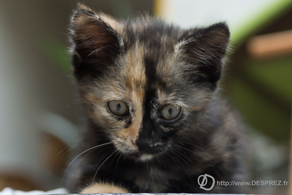 2014-02-24-DSC-05632