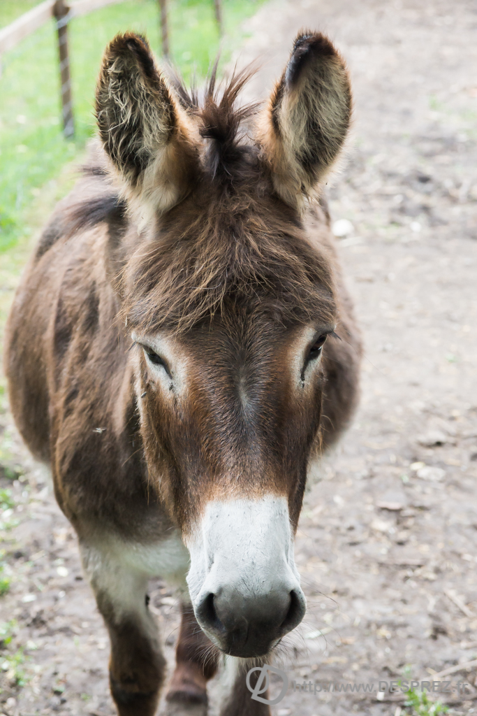 2013-10-02-DSC-02861