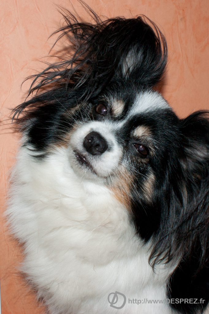 2013-10-02-DSC-00675