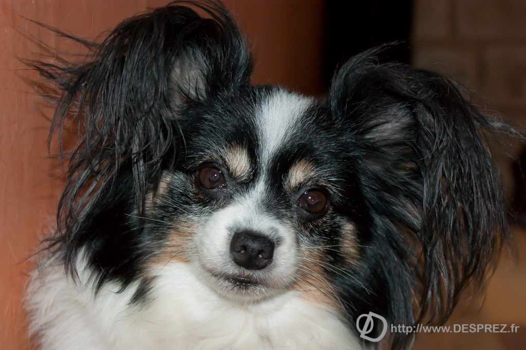 2013-10-02-DSC-00677