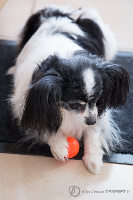 2014-02-24-DSC-00455