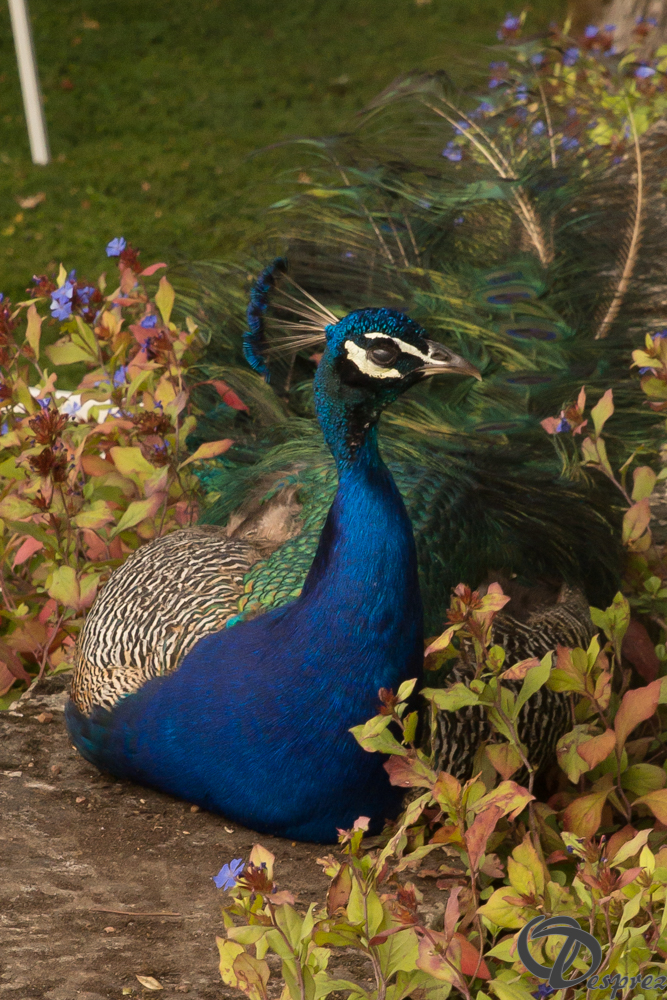 2021-août-21-DSC09608