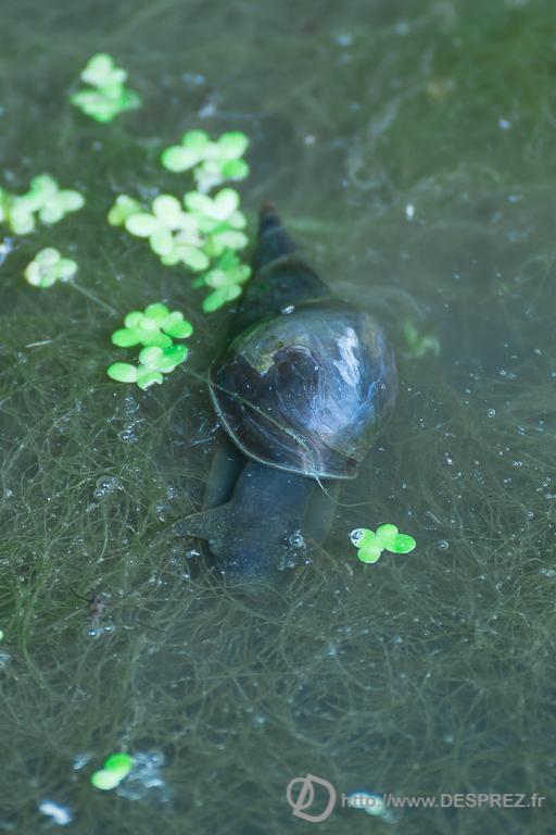 2014-02-24-DSC-00047