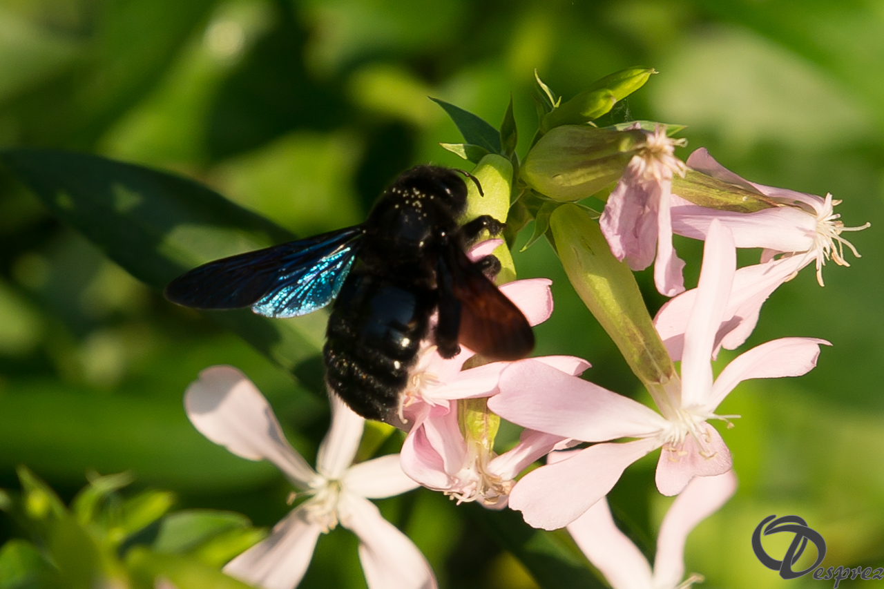 2021-août-13-DSC09259