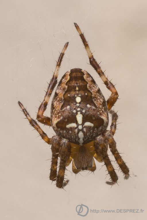 2014-02-24-DSC-00407