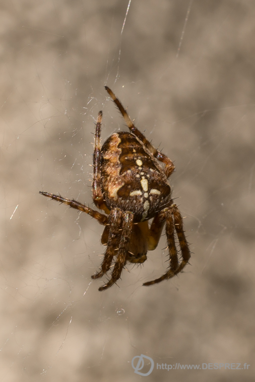 2014-02-24-DSC-00412