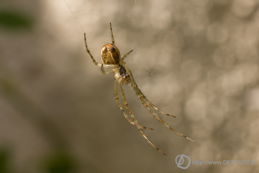 2014-02-24-DSC-00414