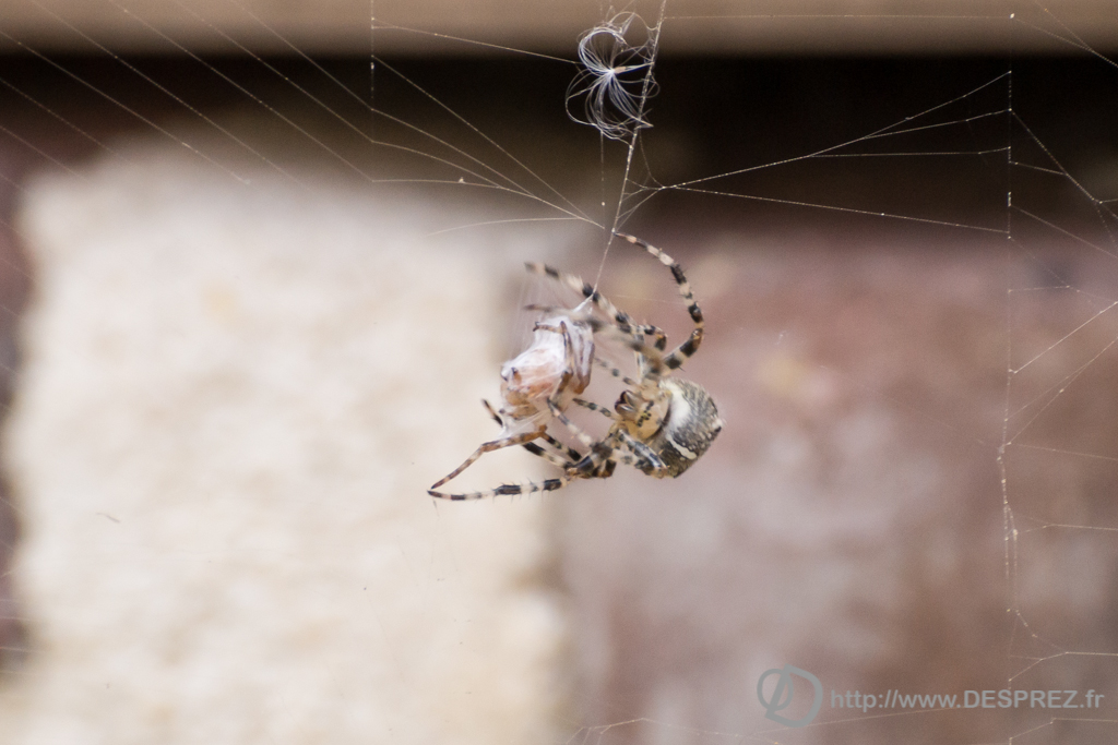 2014-02-24-DSC-00415