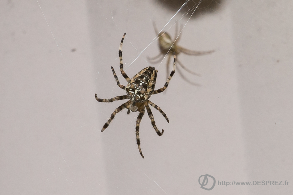 2014-02-24-DSC-00425