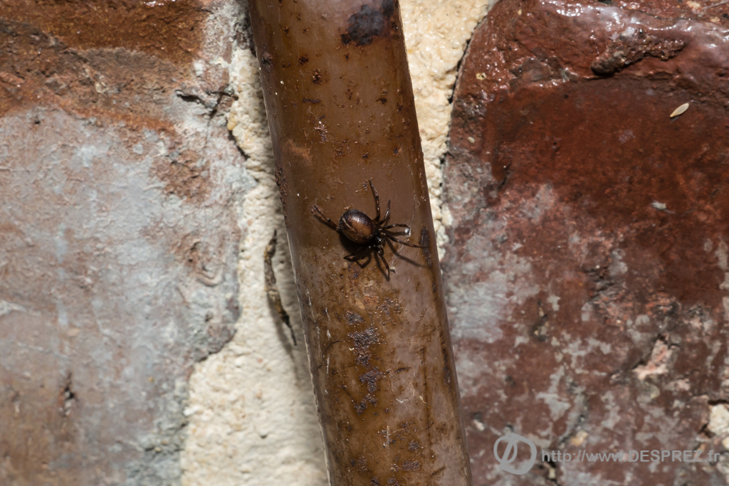 2014-02-24-DSC-00433