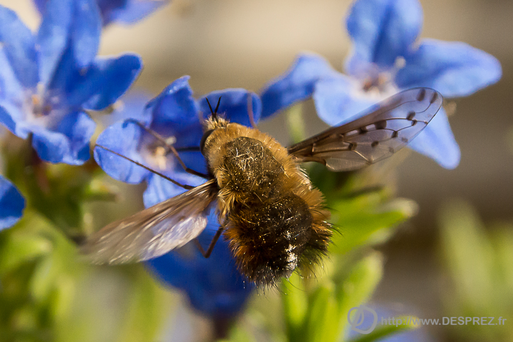 2014-02-24-DSC-04602