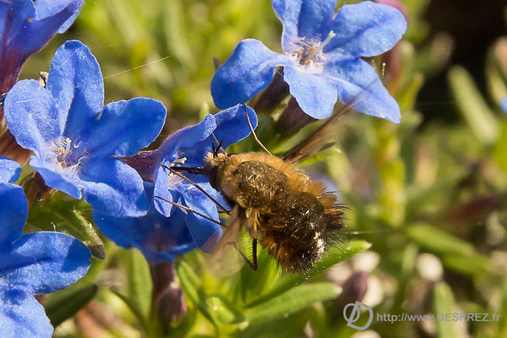 2014-02-24-DSC-04605