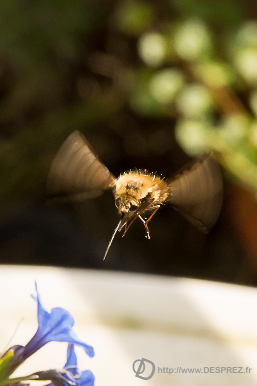 2014-02-24-DSC-04609