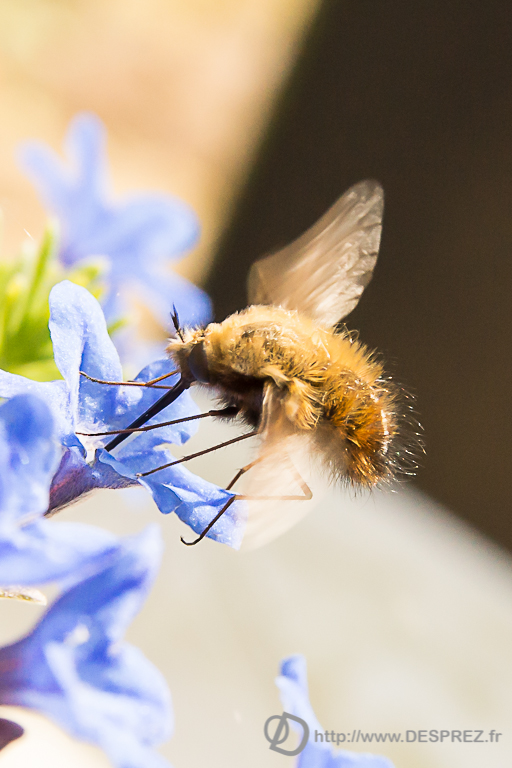 2014-02-24-DSC-04621