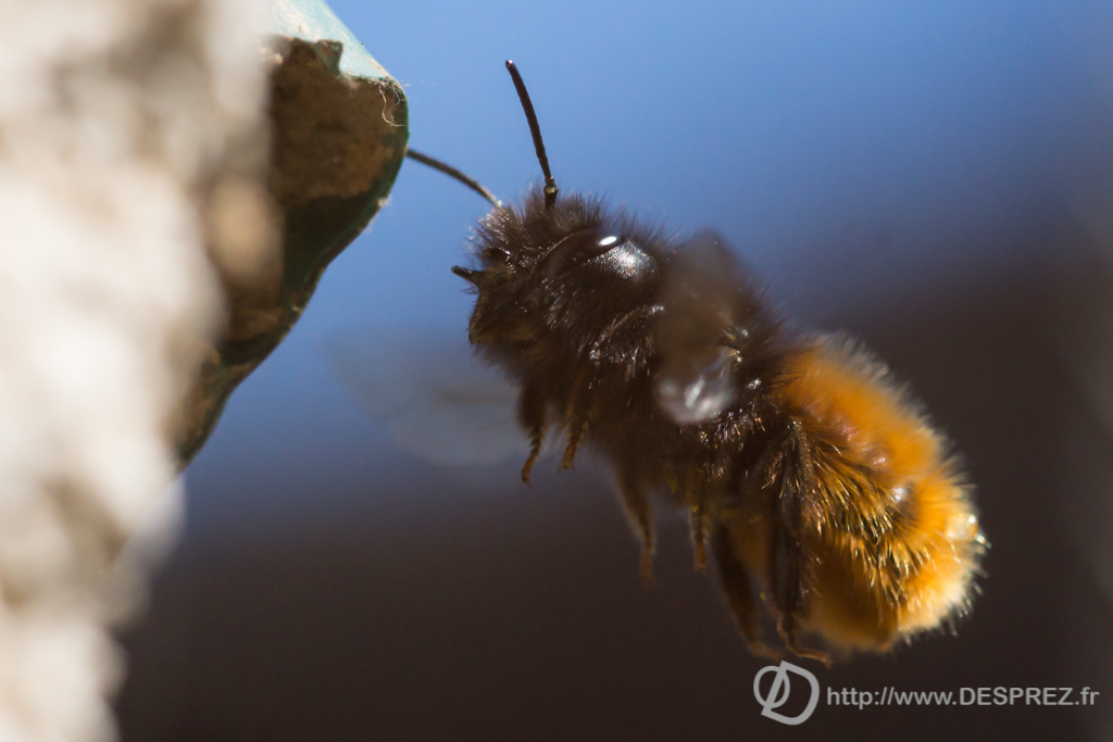 2014-02-24-DSC-04529