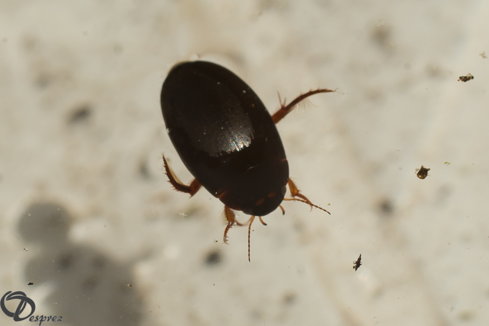2019-06-15-DSC07857