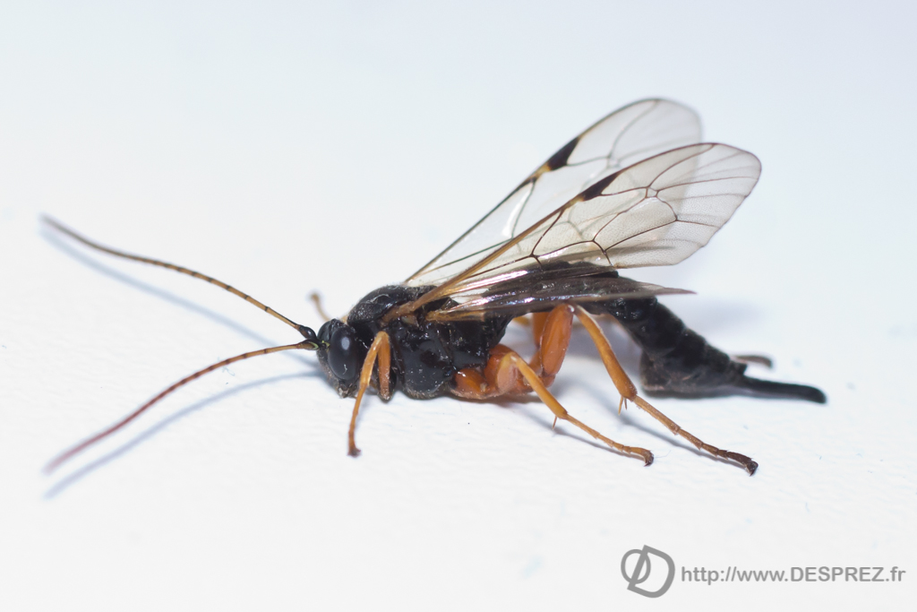 2013-10-02-DSC-03470