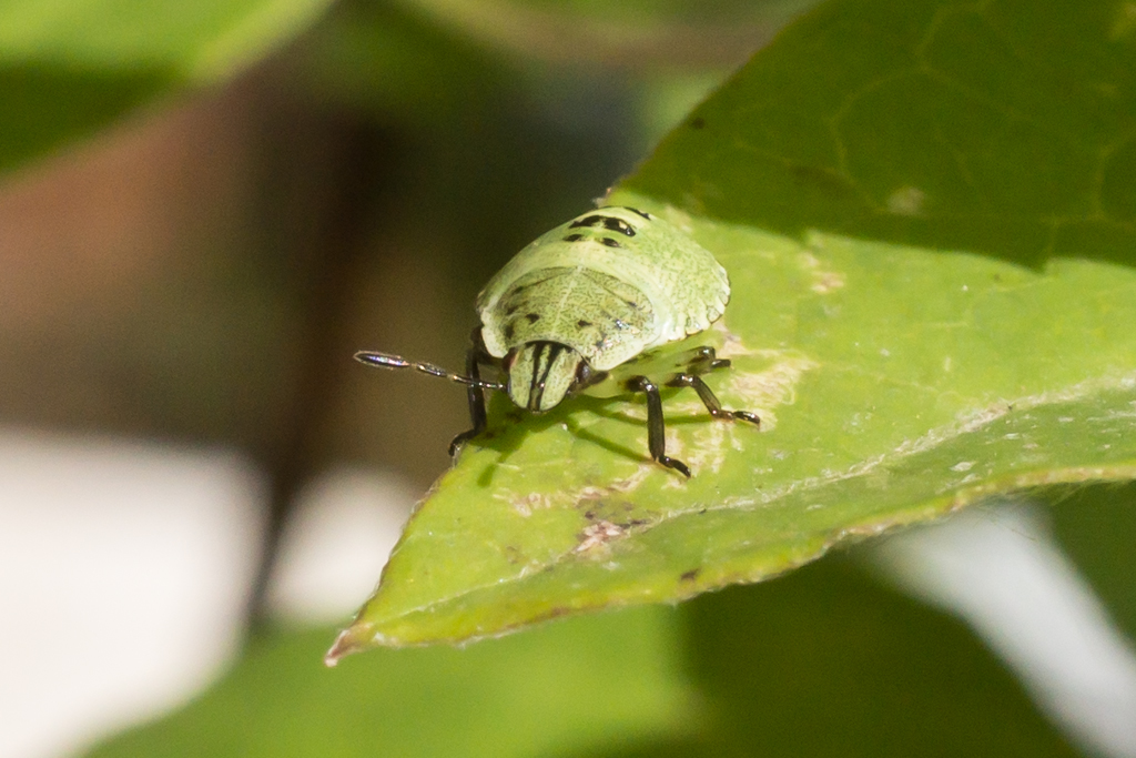 2014-02-24-DSC-00232