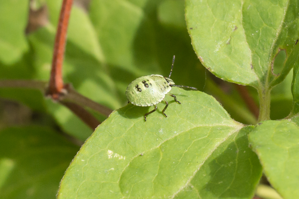 2014-02-24-DSC-00241