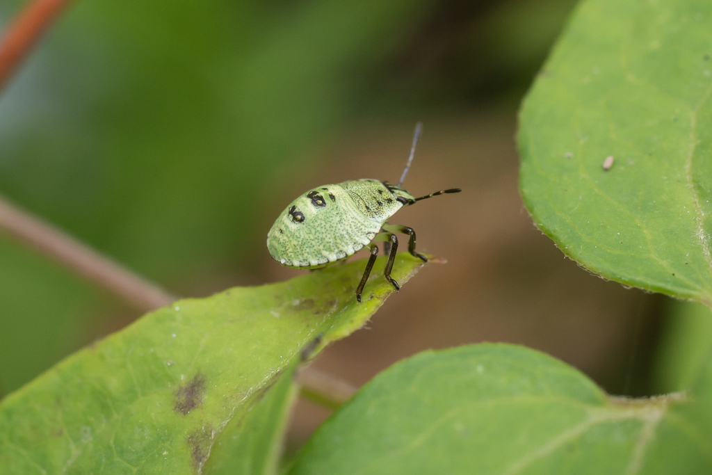 2014-02-24-DSC-00252