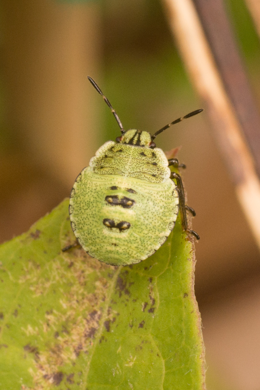 2014-02-24-DSC-00259