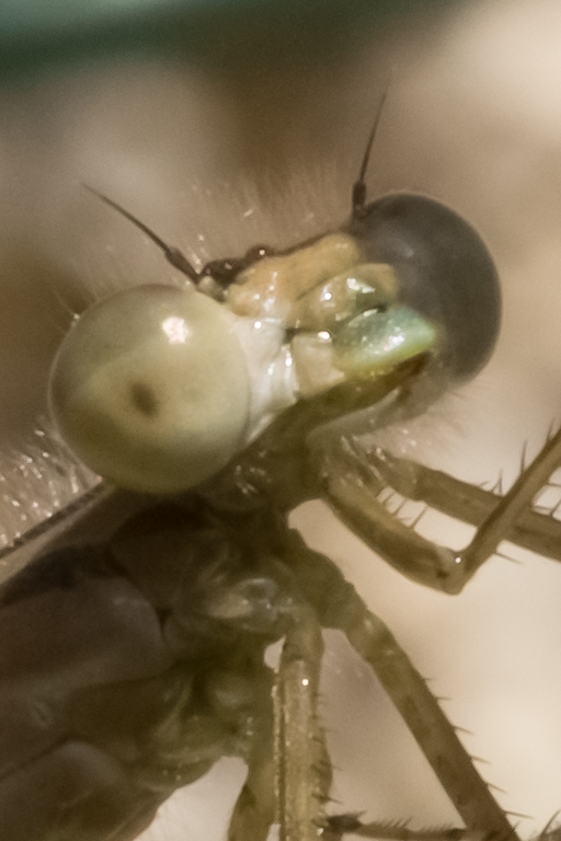 2014-02-24-DSC-00288