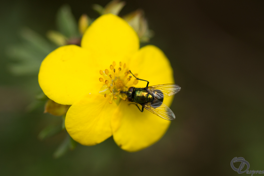 2019-aout-20-DSC08354