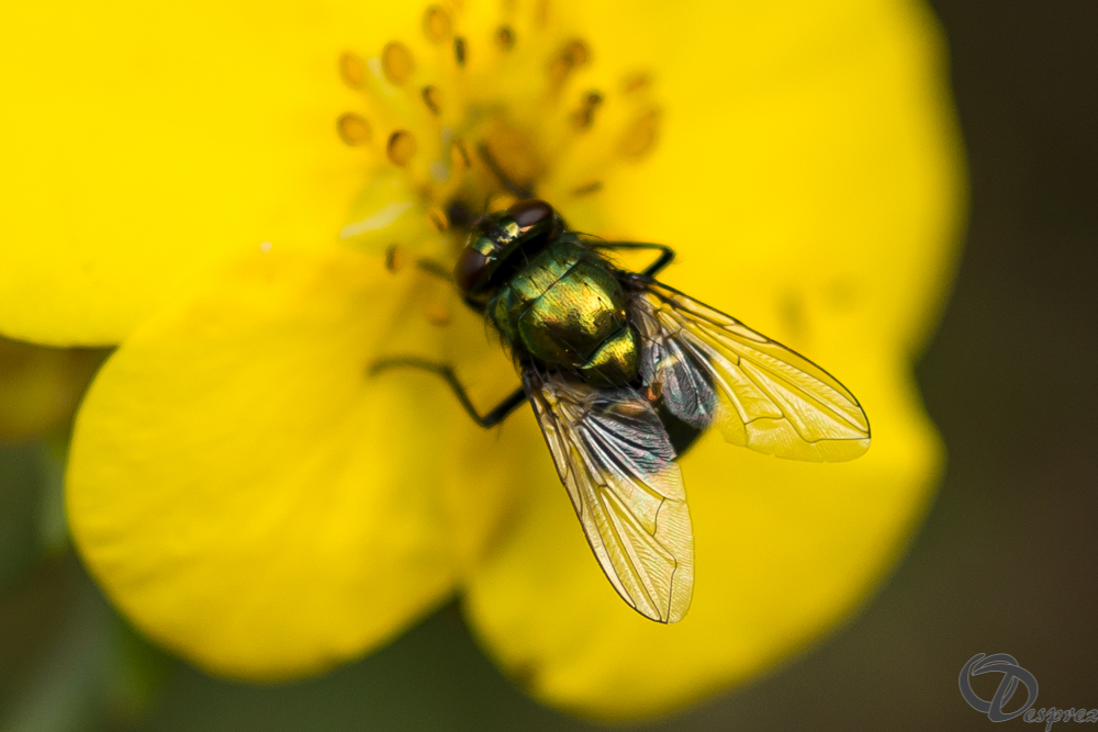 2019-aout-20-DSC08355