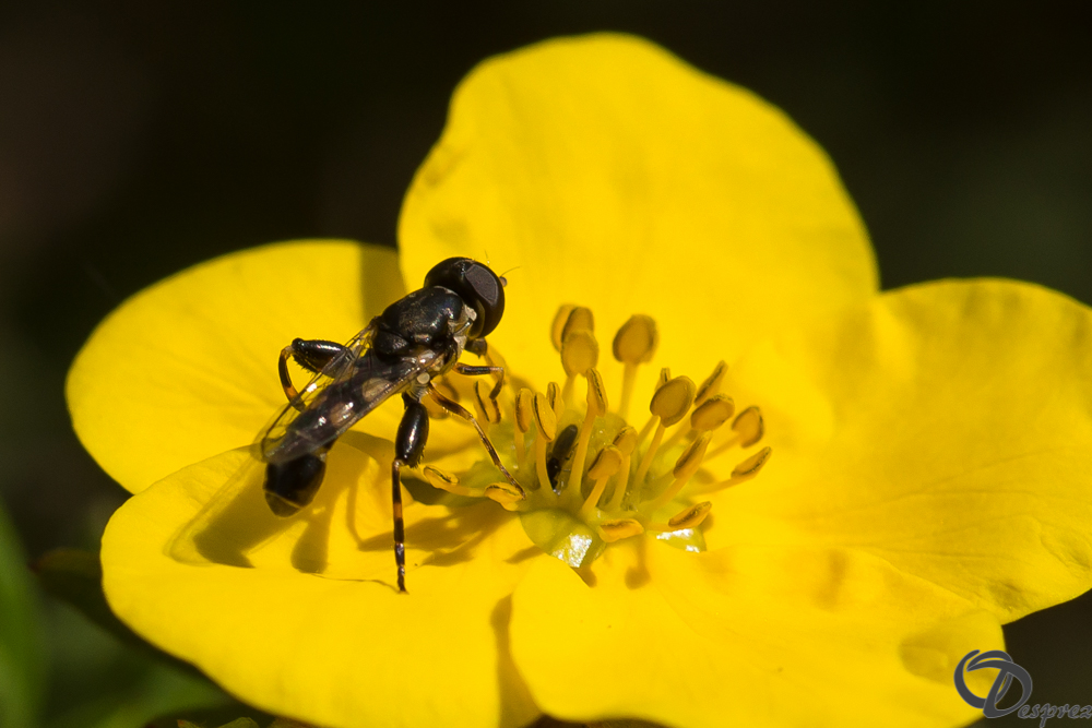 2019-aout-20-DSC08365