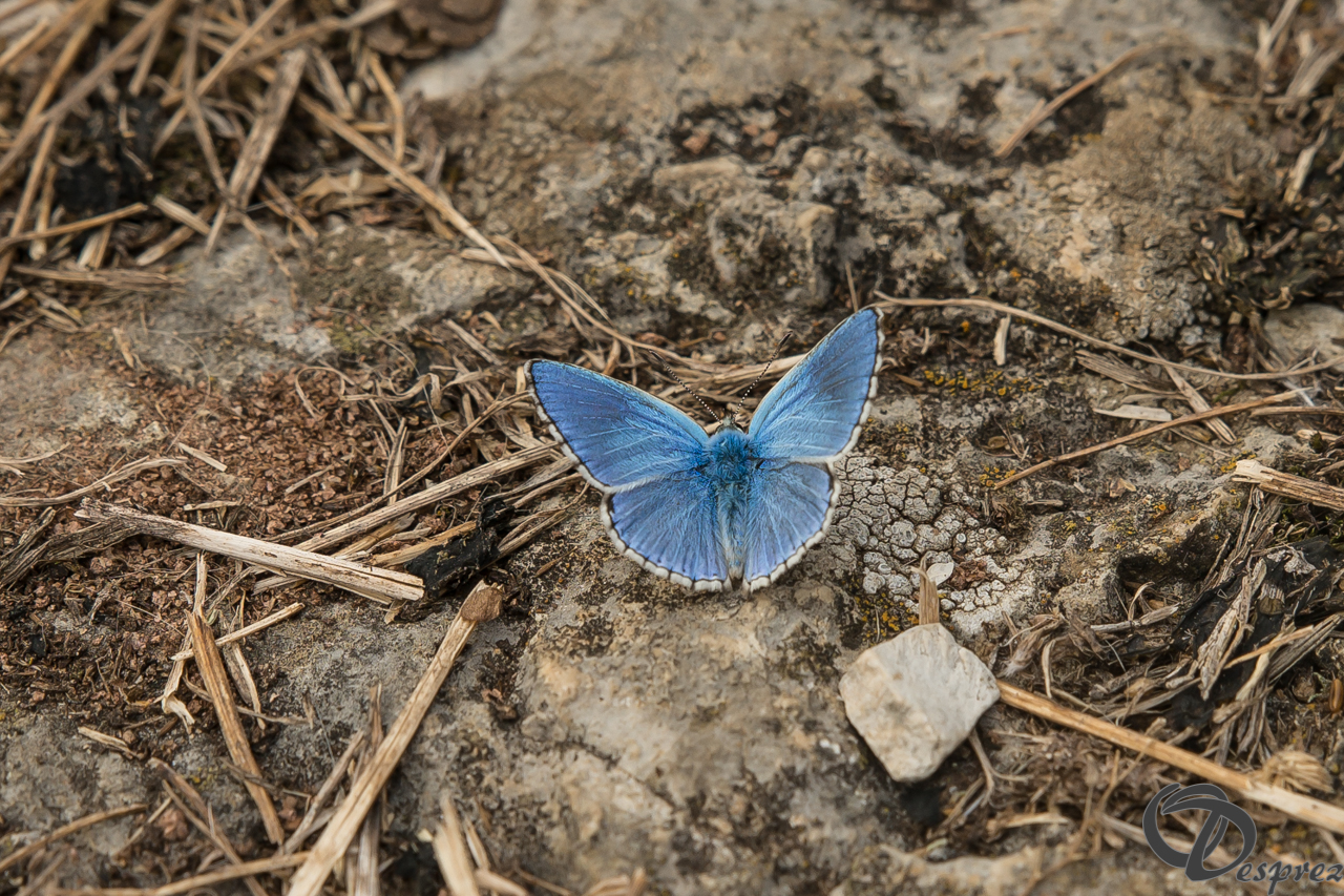 2021-août-24-DSC09621