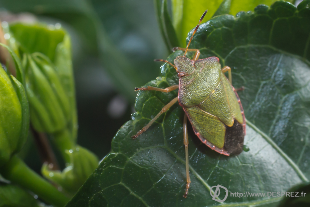 2013-10-28-DSC-03522