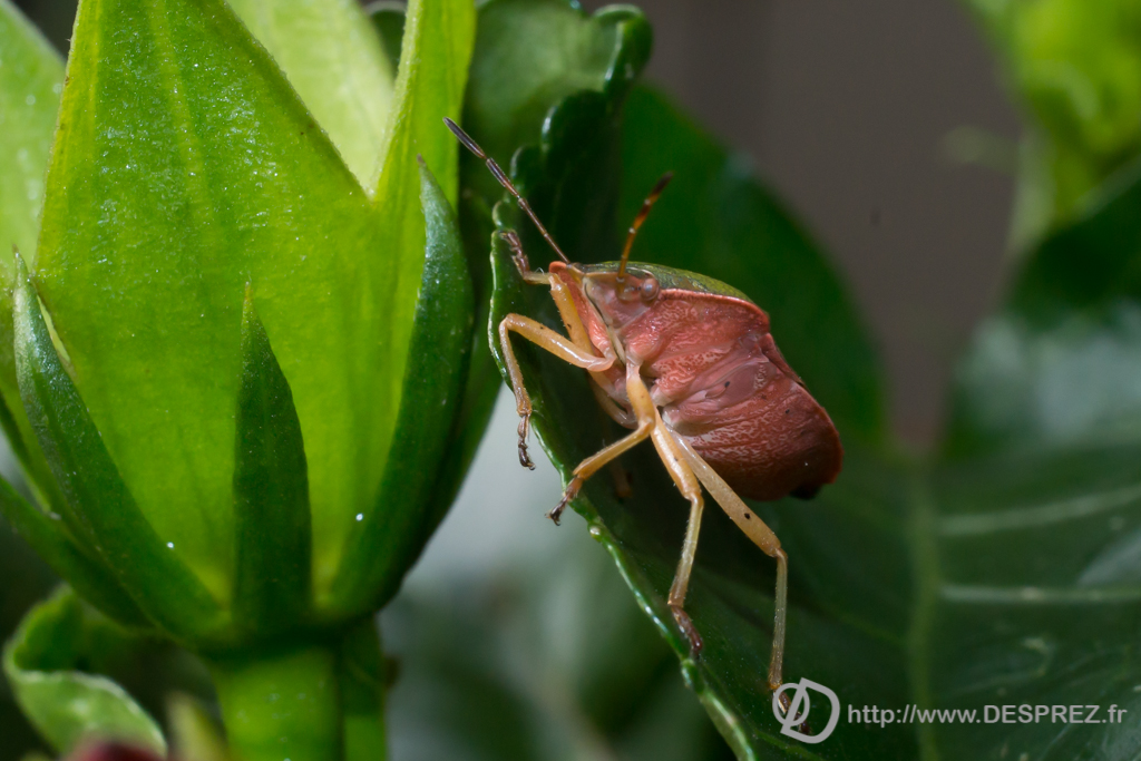 2013-10-28-DSC-03533