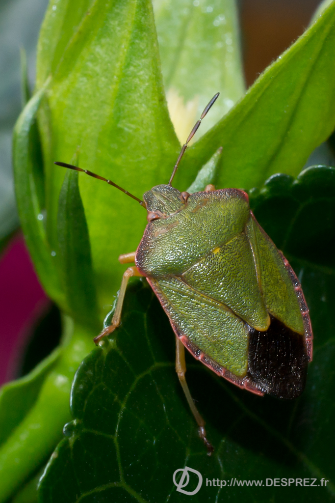 2013-10-28-DSC-03536