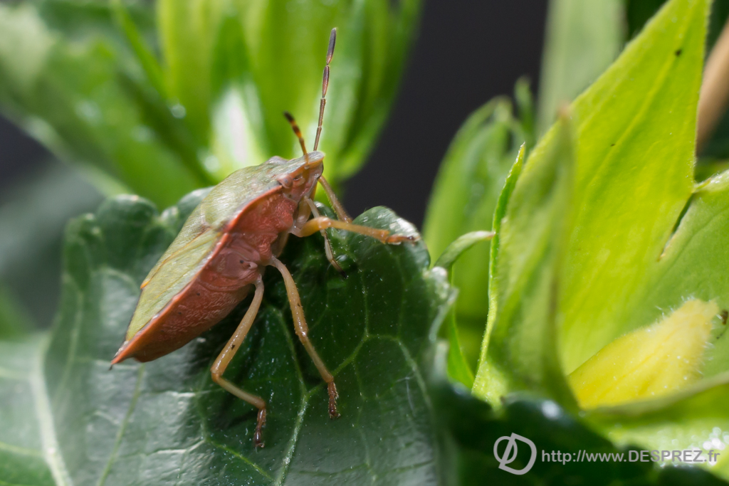 2013-10-28-DSC-03547