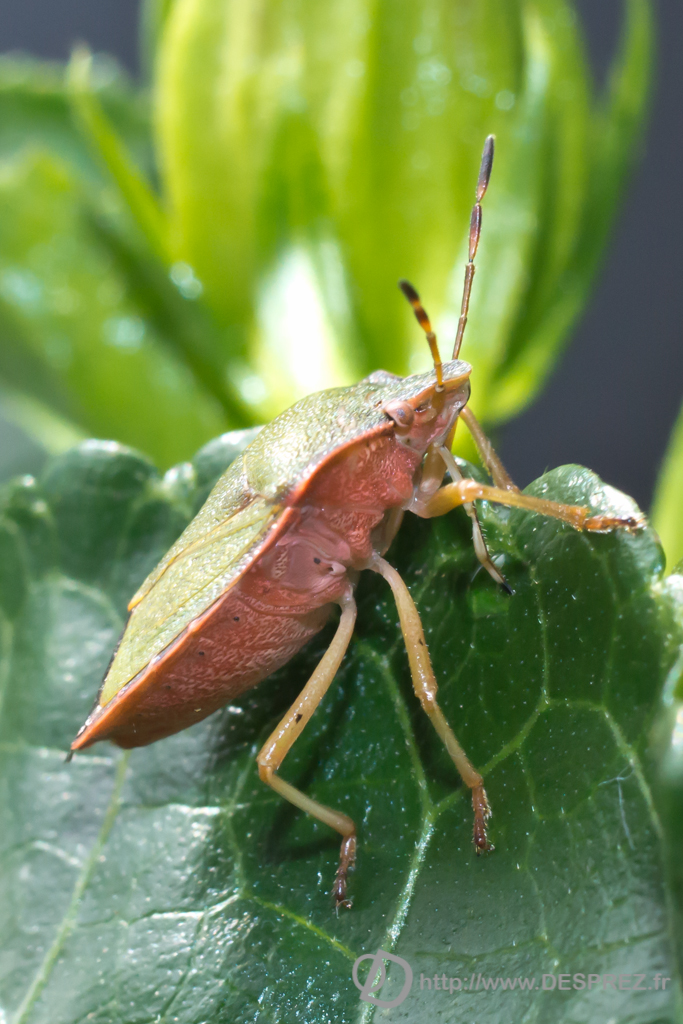 2013-10-28-DSC-03548