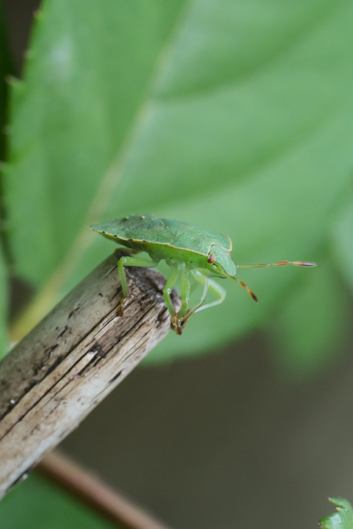 2014-02-24-DSC-00303