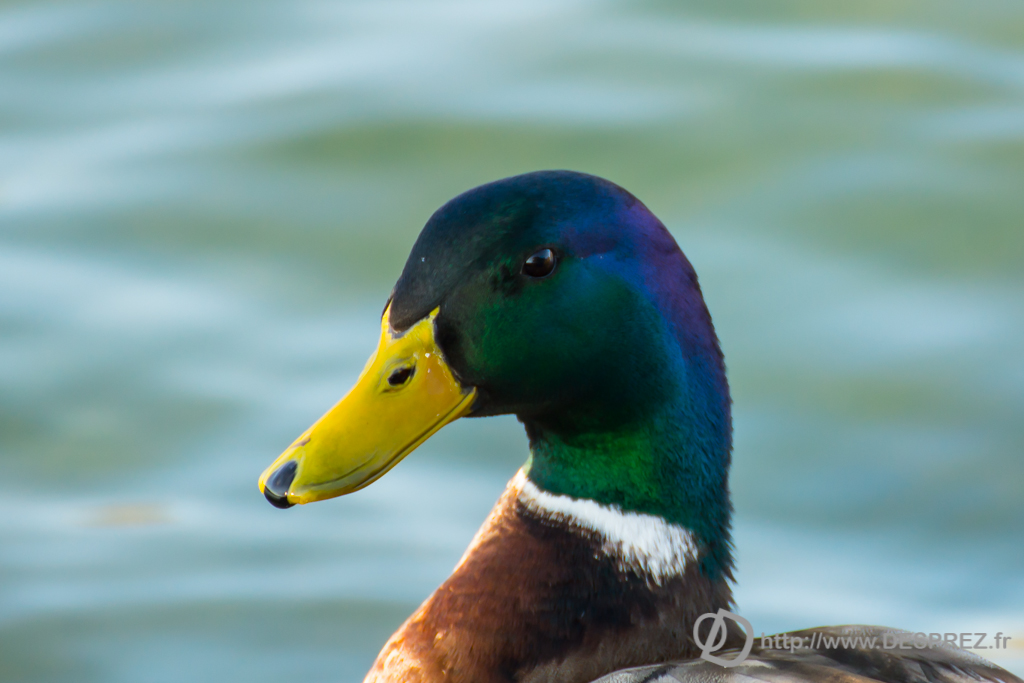 2014-02-24-DSC-04237