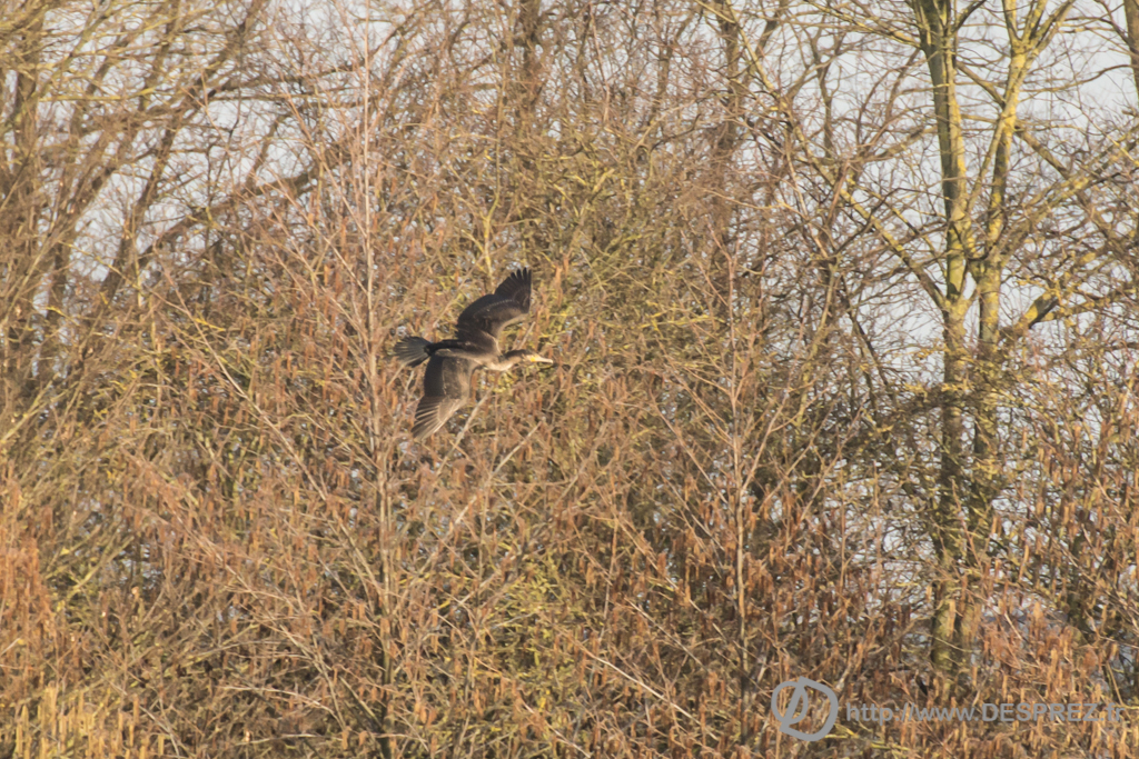 2014-02-24-DSC-04207