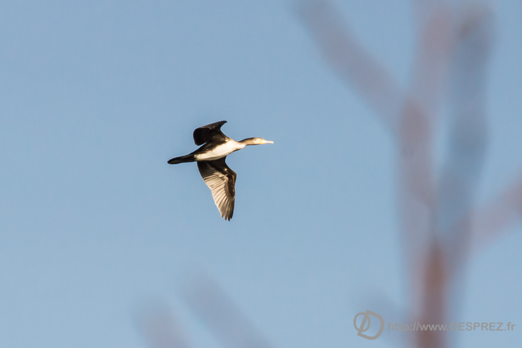 2014-02-24-DSC-04218