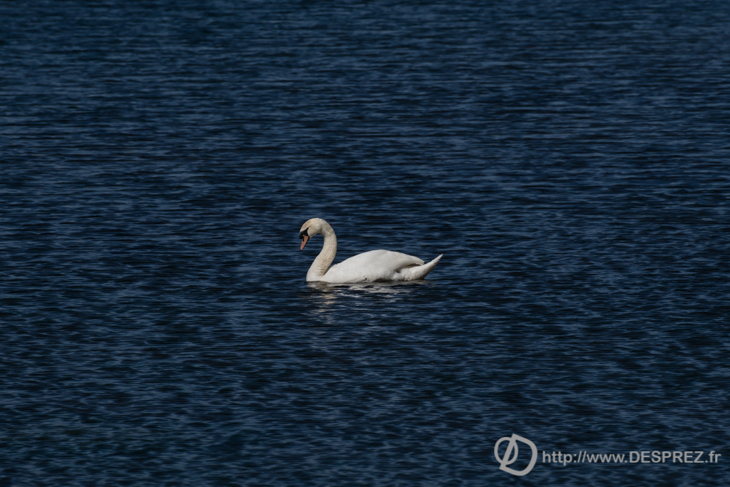 2014-02-24-DSC-01405