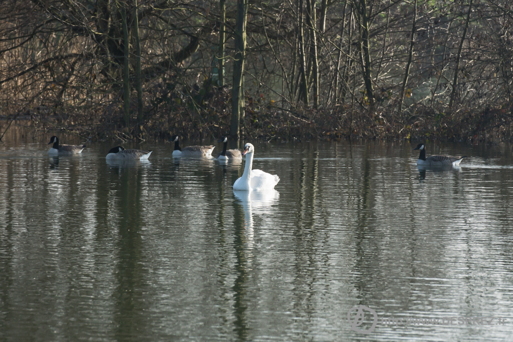 2014-02-24-DSC-04195