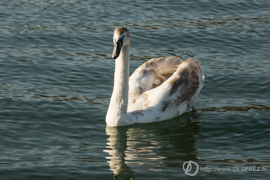 2014-02-24-DSC-04241