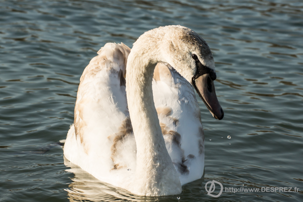 2014-02-24-DSC-04244