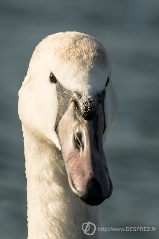 2014-02-24-DSC-04246