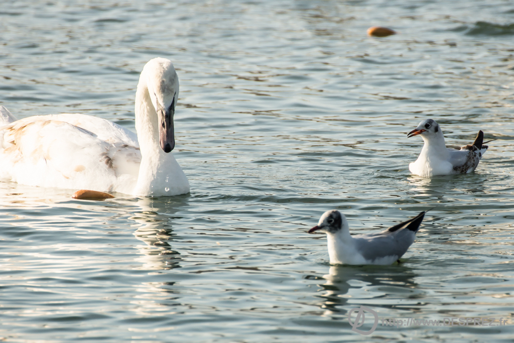 2014-02-24-DSC-04262