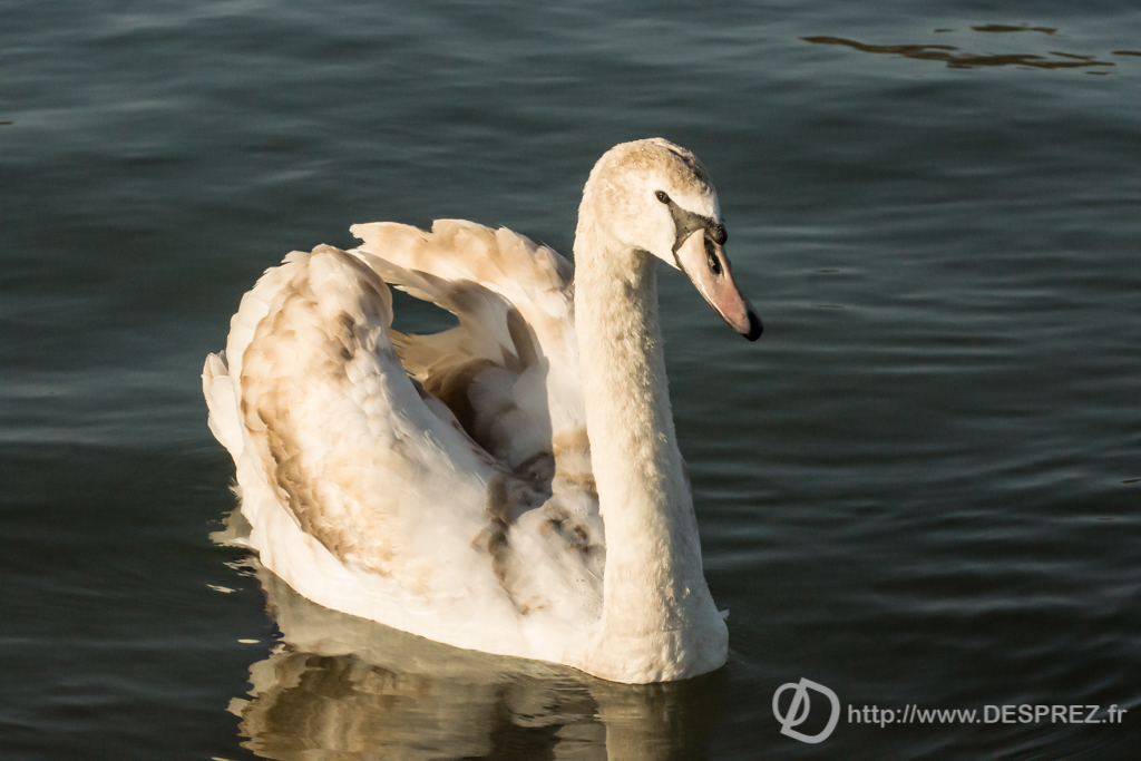 2014-02-24-DSC-04278