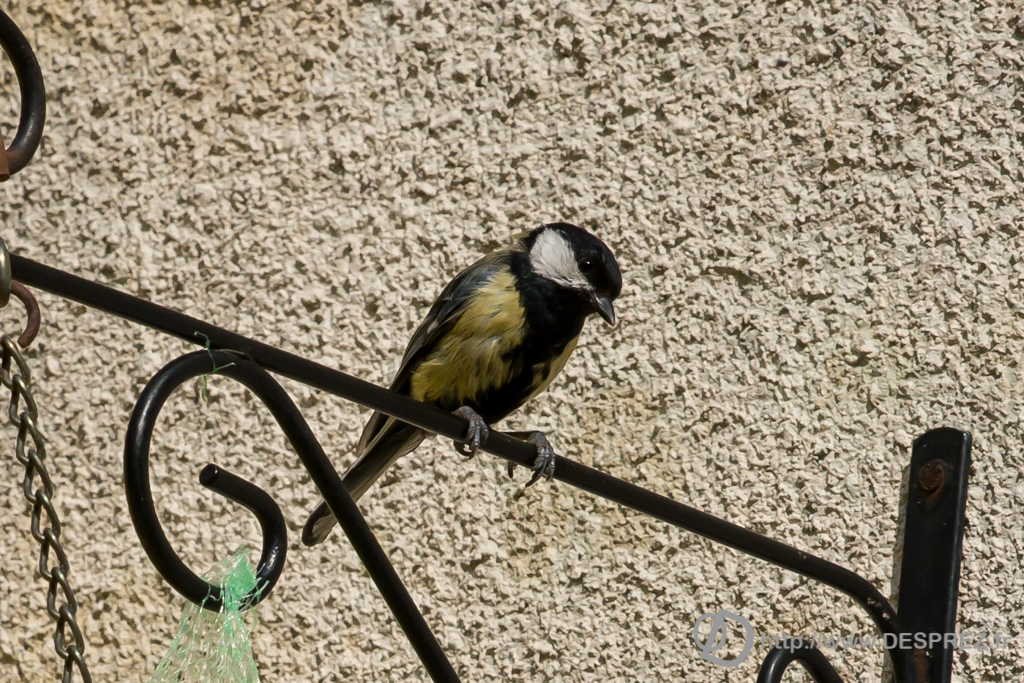 2014-02-24-DSC-01485