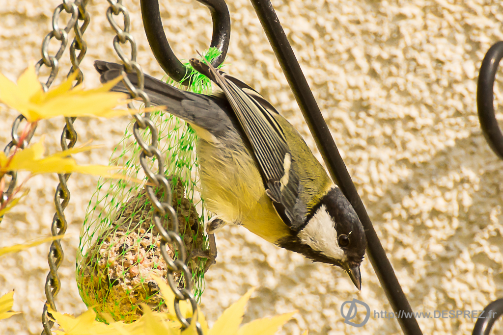 2014-02-24-DSC-04658